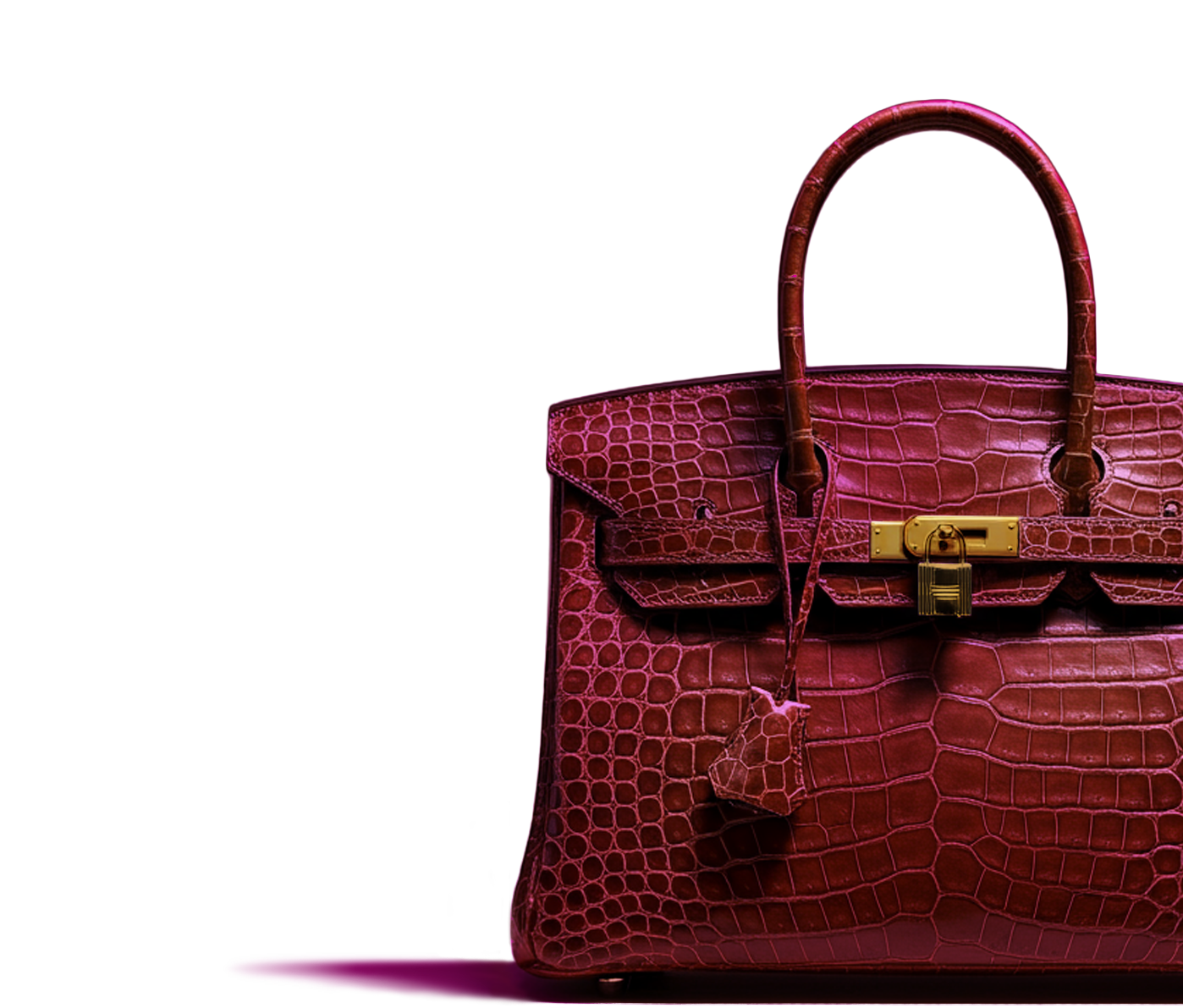 Luxury Handbag